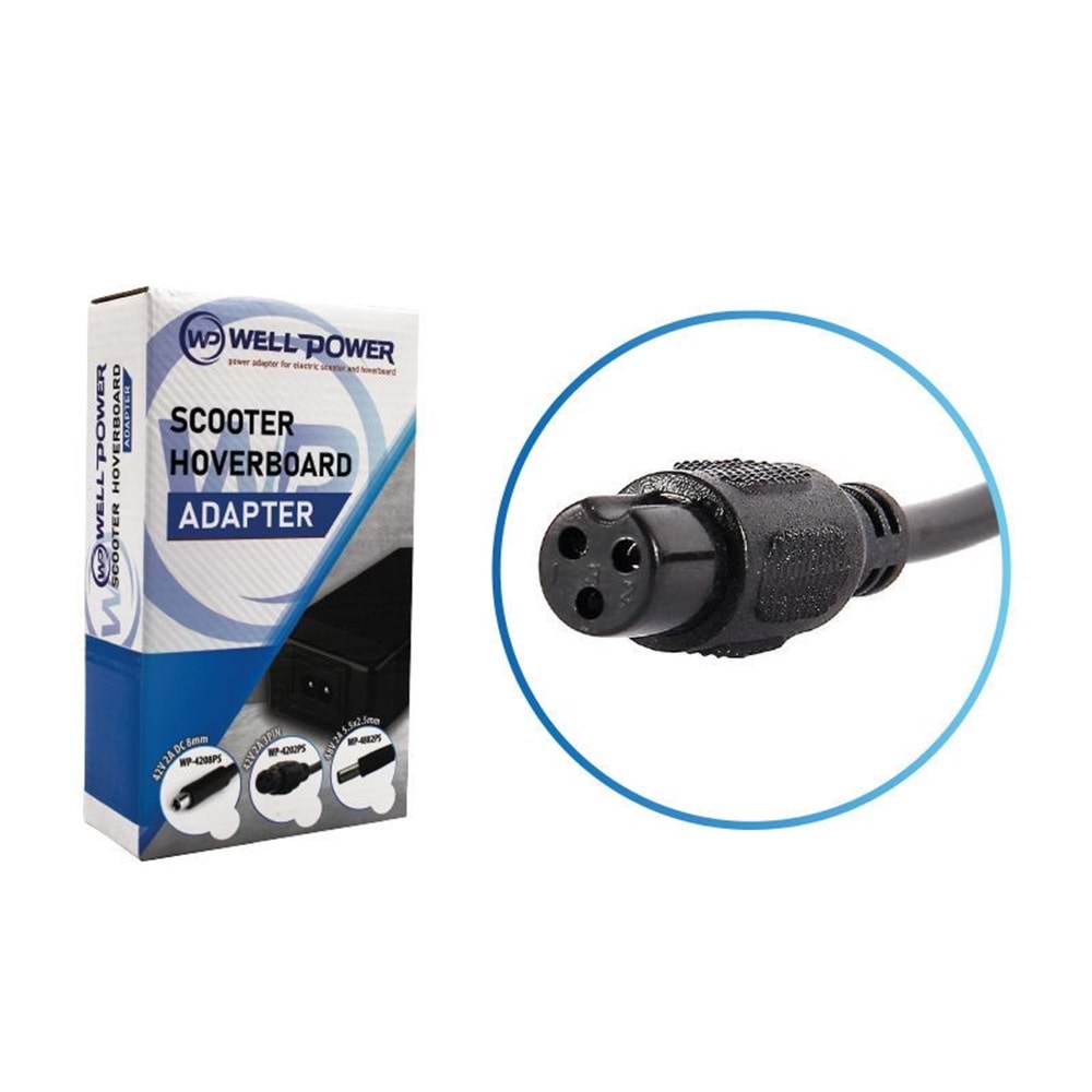 WELLPOWER WP-4202PS 42 VOLT 2 AMPER PLASTİK KASA 3 PIN