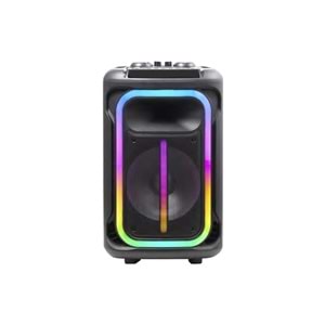 JAMESON TR-12PRO 3000W MAX POWER KARAOKE WITH 2 x WIRELESS MICROPHONE