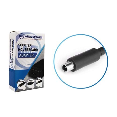 WELLPOWER WP-4208PS 42VOLT 2 AMPER PLASTİK KASA ADAPTÖR DC 8MM