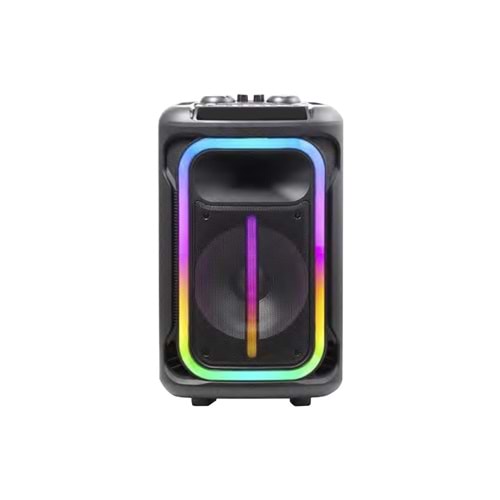 JAMESON TR-12PRO 3000W MAX POWER KARAOKE WITH 2 x WIRELESS MICROPHONE