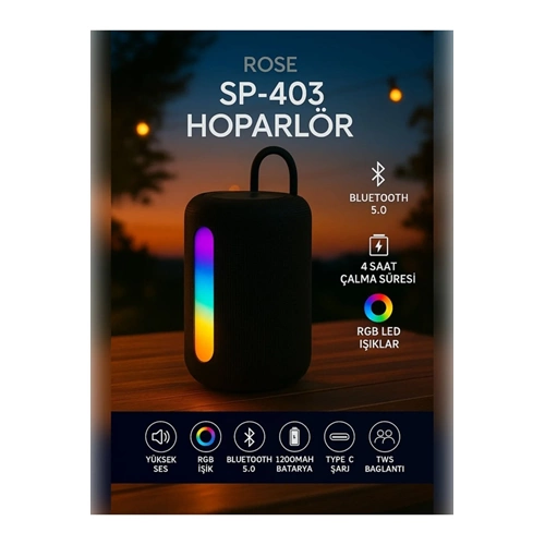 ROSE SP-403 FM/MP3/Bluetooth/USB/Micro SD ŞARJLI MÜZİK KUTUSU